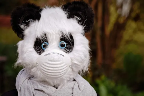 BitReels Casino Soporte